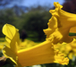 3rd Annual Spring Arts and Fine Crafts Show